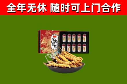 禹州回收冬虫夏草价格